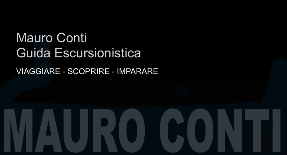 Mauro Conti